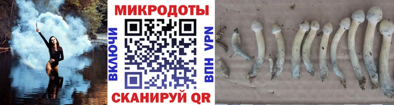 Псилоцибиновые грибы прущие грибы  ссылка на мегу tor  Вихоревка 
