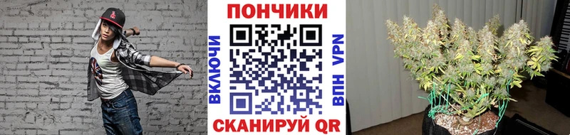 Конопля сатива  МЕГА ссылка  Вихоревка  купить  сайты 